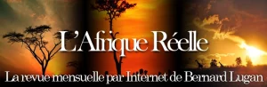 Revue Afrique réelle